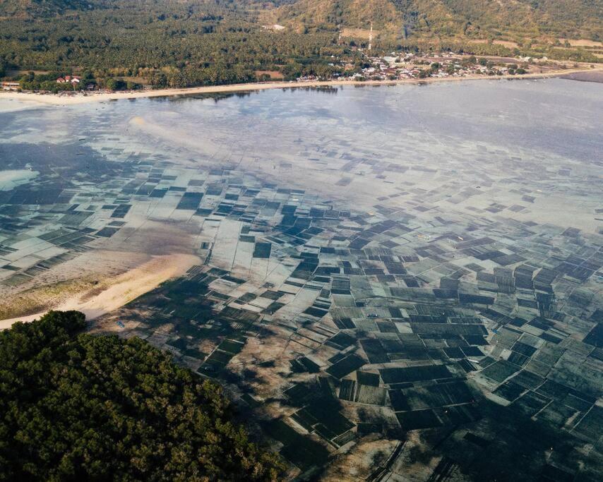Beach-Front Sumbawa Surf House Lemonga Esterno foto
