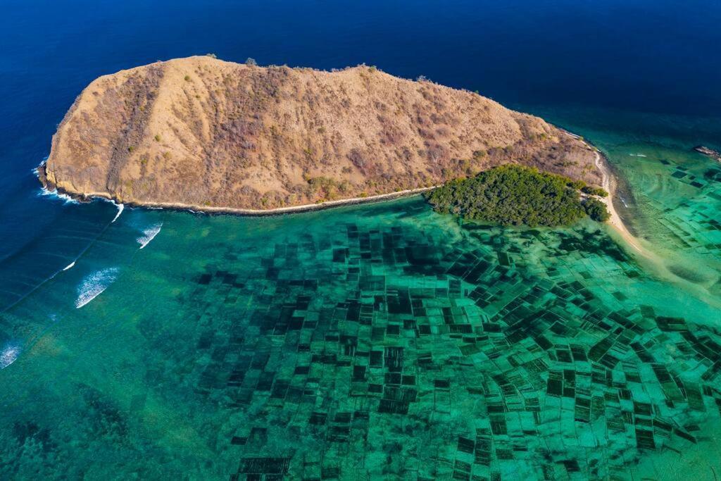 Beach-Front Sumbawa Surf House Lemonga Esterno foto