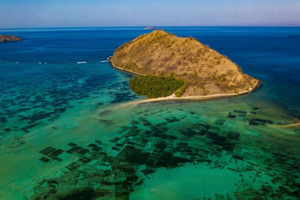 Beach-Front Sumbawa Surf House Lemonga Esterno foto